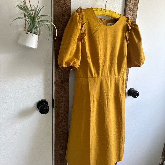 New Women's Florence Puff Half Sleeve Empire Waist Fit and Flare Dress women’s 8 - Picture 6 of 16